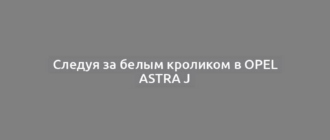 Следуя за белым кроликом в Opel Astra J