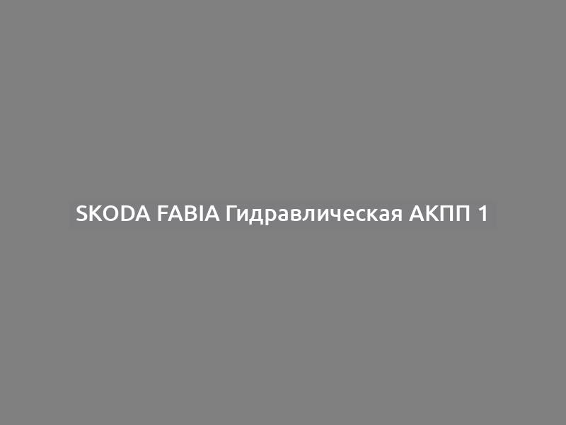 Skoda Fabia Гидравлическая АКПП 1