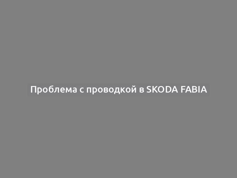 Проблема с проводкой в Skoda Fabia