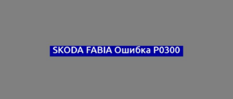 Skoda Fabia Ошибка P0300