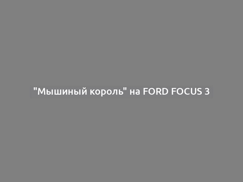 "Мышиный король" на Ford Focus 3